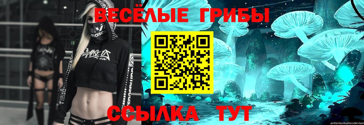 Псилоцибиновые грибы GOLDEN TEACHER  Галлюциногенные грибы мицелий  Сочи  Вход с VPN 